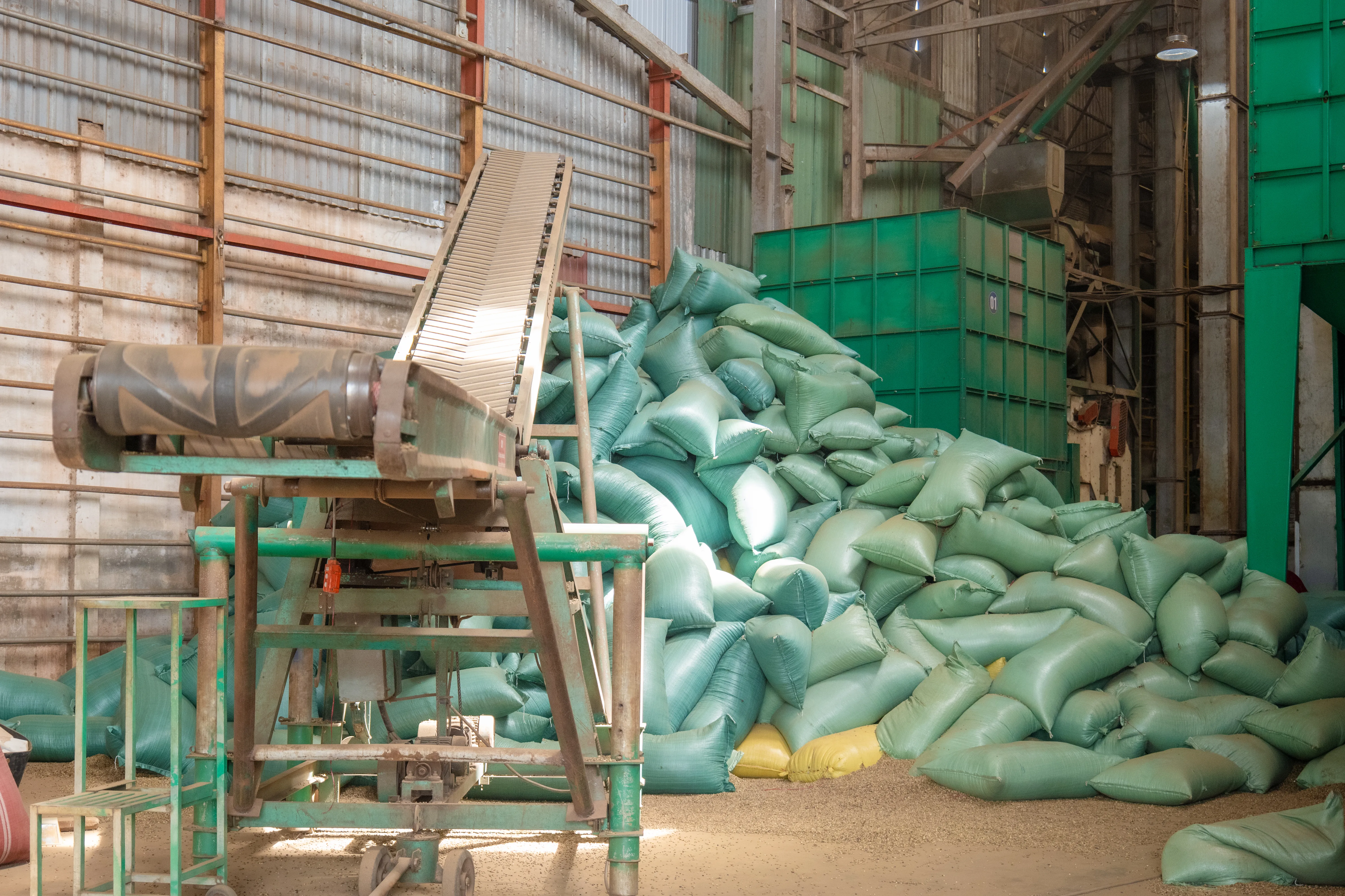 Quy mô sản xuất sản lượng cà phê lớn của doanh nghiệp.